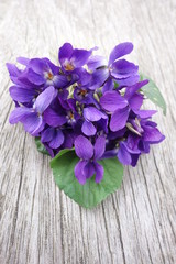  Violets bouquet on wooden board