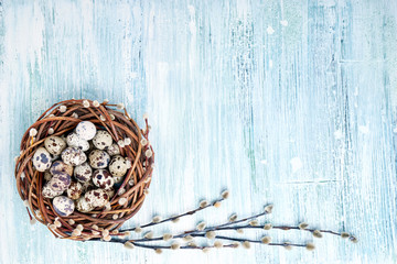 Easter willow wreath and Easter quail eggs on blue background. Top view, copy space