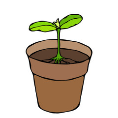Flower Pot with Soil. Seed, Sprout with two leaves and Root. Flowerpot for Sprouting Plant. Seedling. Phases of Growth of a Plant. Gardening Hobby Hand Drawn Illustration. Savoyar Doodle Style.