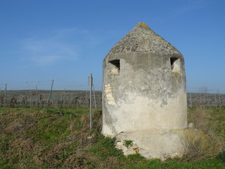 Weinbergtrullo bei Bockenheim / Pfalz