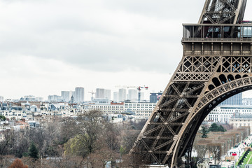 Fototapeta premium eiffel toweer