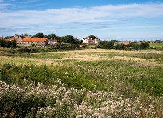 Lindisfarne Field