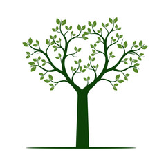 Fototapeta premium Green Tree with Leaves. Vector Illustration.