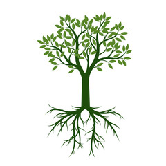 Green Tree with Leaves and Roots. Vector Illustration and graphic element.