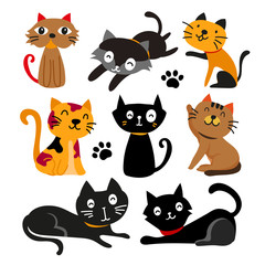 Fototapeta premium cats charcater design