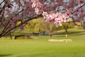 Spring Golf Course Pond and Sand Trap
