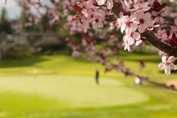 Spring Golf Putting Green