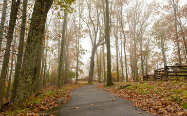 Obraz premium Walking trail in the fog