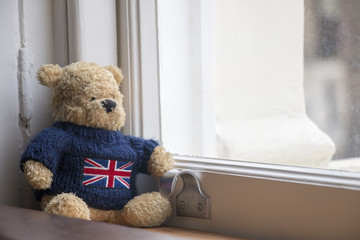 Lonely bear is waiting for someone by the window