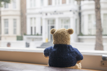 Lonely bear is waiting for someone by the window