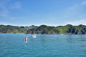 新潟　笹川流れ