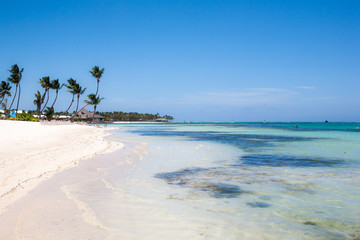 Fototapeta na wymiar Tropical Beach with White Sand and Palm Trees, in Cap Cana, Dominican Republic