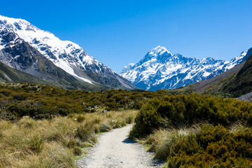 Fototapeta na wymiar ニュージーランド　マウントクック国立公園　フッカーバレー