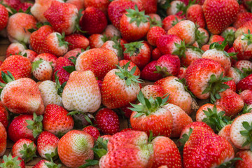 Red strawberry, Loosely laid strawberries in different positions.