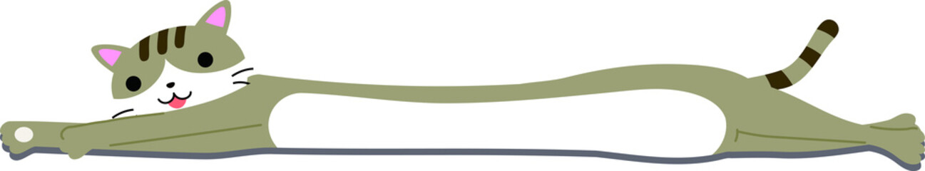 Long Cat liying down 9