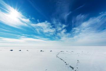 Winter landscape. The Ob River, Western Siberia