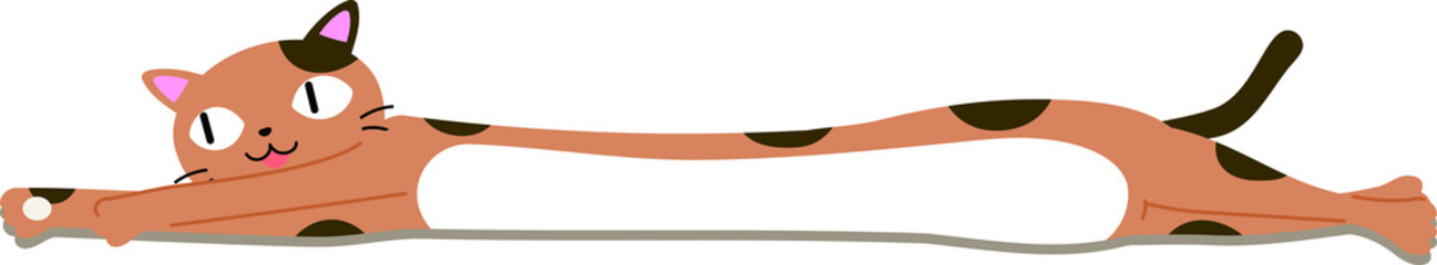 Long Cat liying down 7