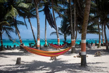 Poster Hangmatten en kokospalmen op San Luis Beach, San Andrés © Suzanne Plumette