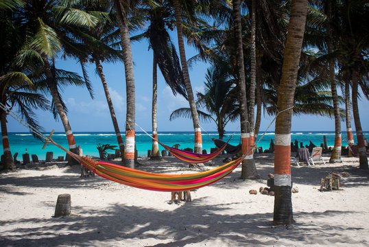 Hamacs et cocotiers sur la plage de San Luis, San Andr&eacute;s