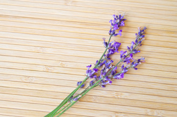 Obraz na płótnie Canvas Lavender on wood