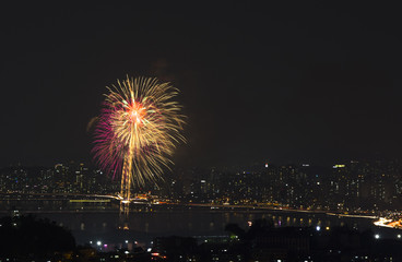 Beautiful colorful firework at night in Seoul