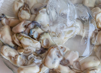 Fresh Oyster on ice serve in dish