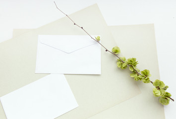 Craft paper sheets and white envelope. Blank card and spring green leaves. Mockup design. Top view with copy space.