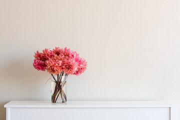 Bright coral pink dahlias in glass jug on white sideboard against neutral wall background