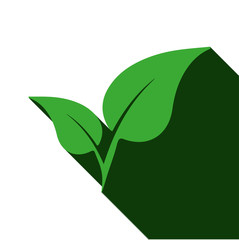 Vector of plant with long shadow on white background