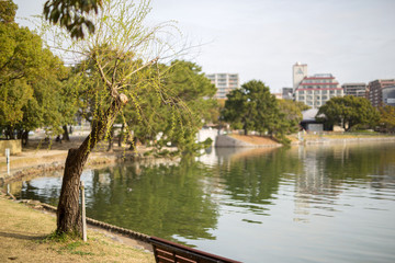 Fototapeta premium 福岡市大濠公園