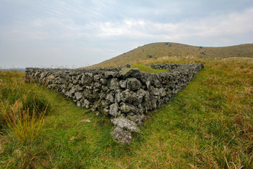 Jeju traditional tomb and stone wall