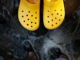 Yellow slap in the tropics