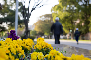 福岡市大濠公園