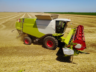 Combine harvester in the wheat field with dust straw in the air.