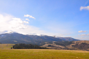 field of mountains and forest landscape