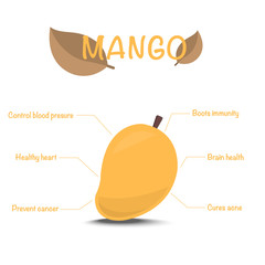 Mango health benefits. Vector illustration with useful nutritional facts. infographic.