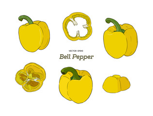 Pepper hand drawn vector set.