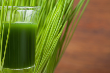 Wheat grass juice. Detox and fitness concept. Superfood.