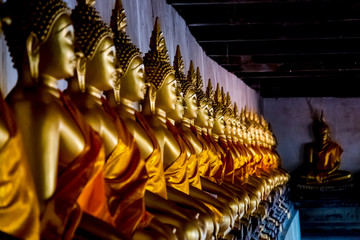 Buddha statues in a temple, Ayutthaya