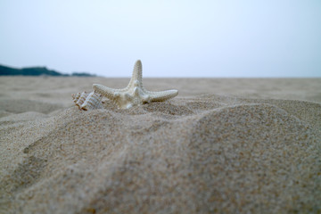 Beautiful summer beach landscape