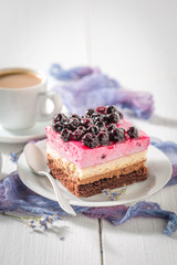 Delicious cake with black currant on white porcelain