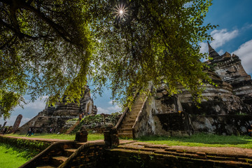 Sunlight through the trees, in a buddhist temple, Ayutthaya