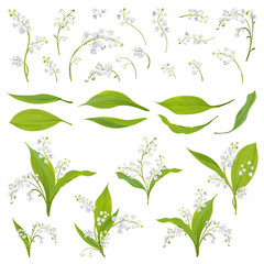 Lily Valley Hand Drawn Watercolor Flowers, Leaves and Floral Elements for Decoration, Wedding, Wallpaper, Fabric. Botanical Spring Set. Vector illustration © wooster