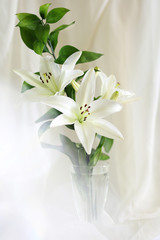 белая лилия с зеленой веткой в стеклянной вазе