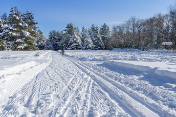 Fototapeta na wymiar Ski track in the winter forest