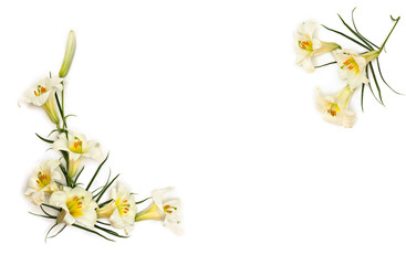 Frame of white trumpet lilies on a white background with space for text. Top view, flat lay
