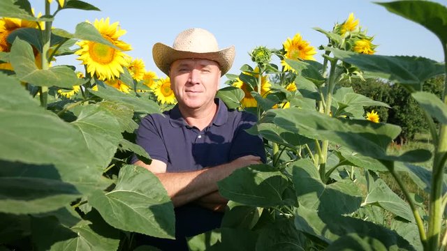 Farmer Portrait in Middle of Sunflower Plantation Stay Looking Confident