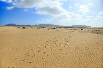 Wanderdüne El Jable in Corralejo, Fuerteventura