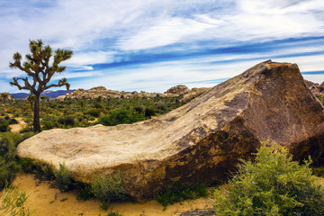 The landscape with huge stones, rock formations in Joshua Tree National Park, California, United States.