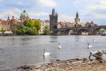 View to the Charles Bridge and St. Nikolaus Church in Prague